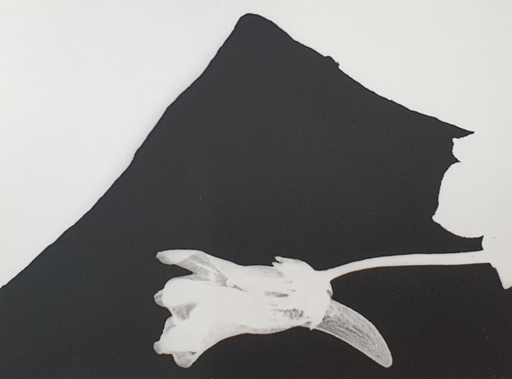 Jahresgabe Jochen Lempert klein.jpg